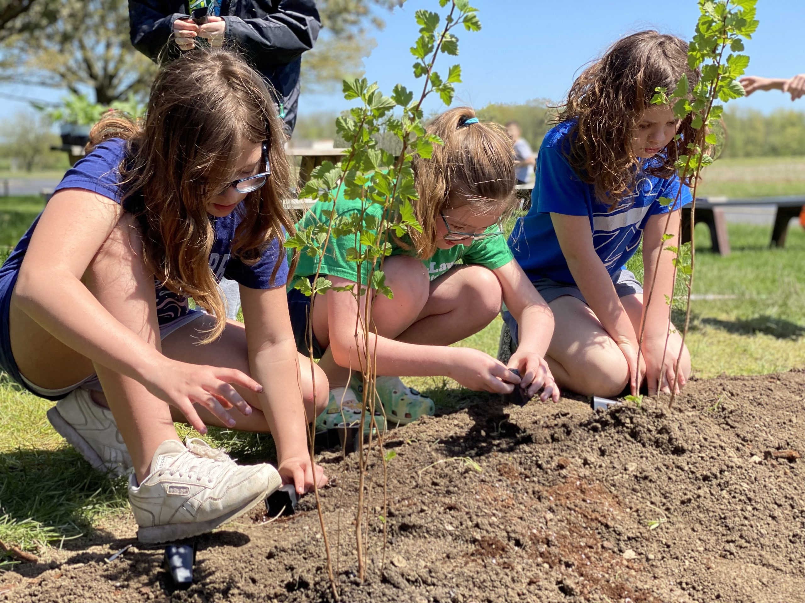 Brown Elementary’s Rain Garden Project