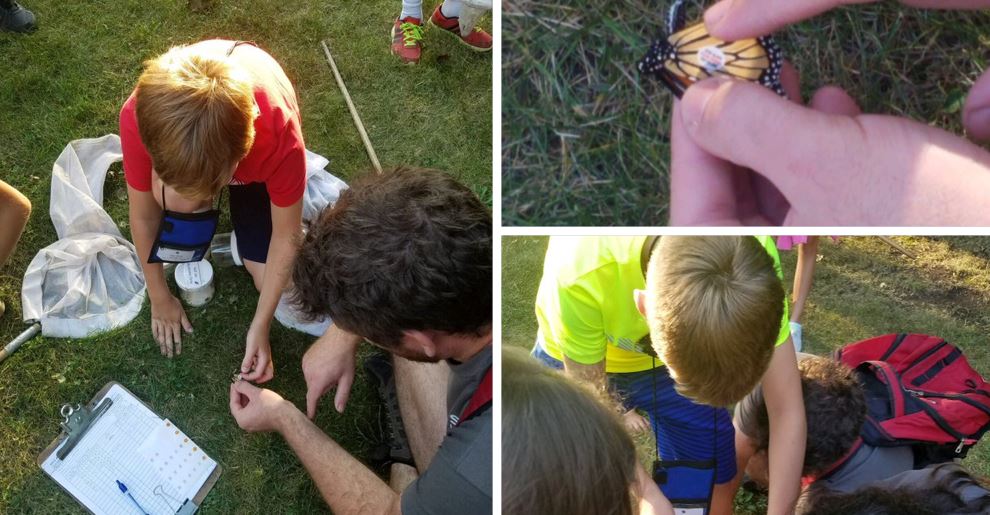 students working with nature on the island