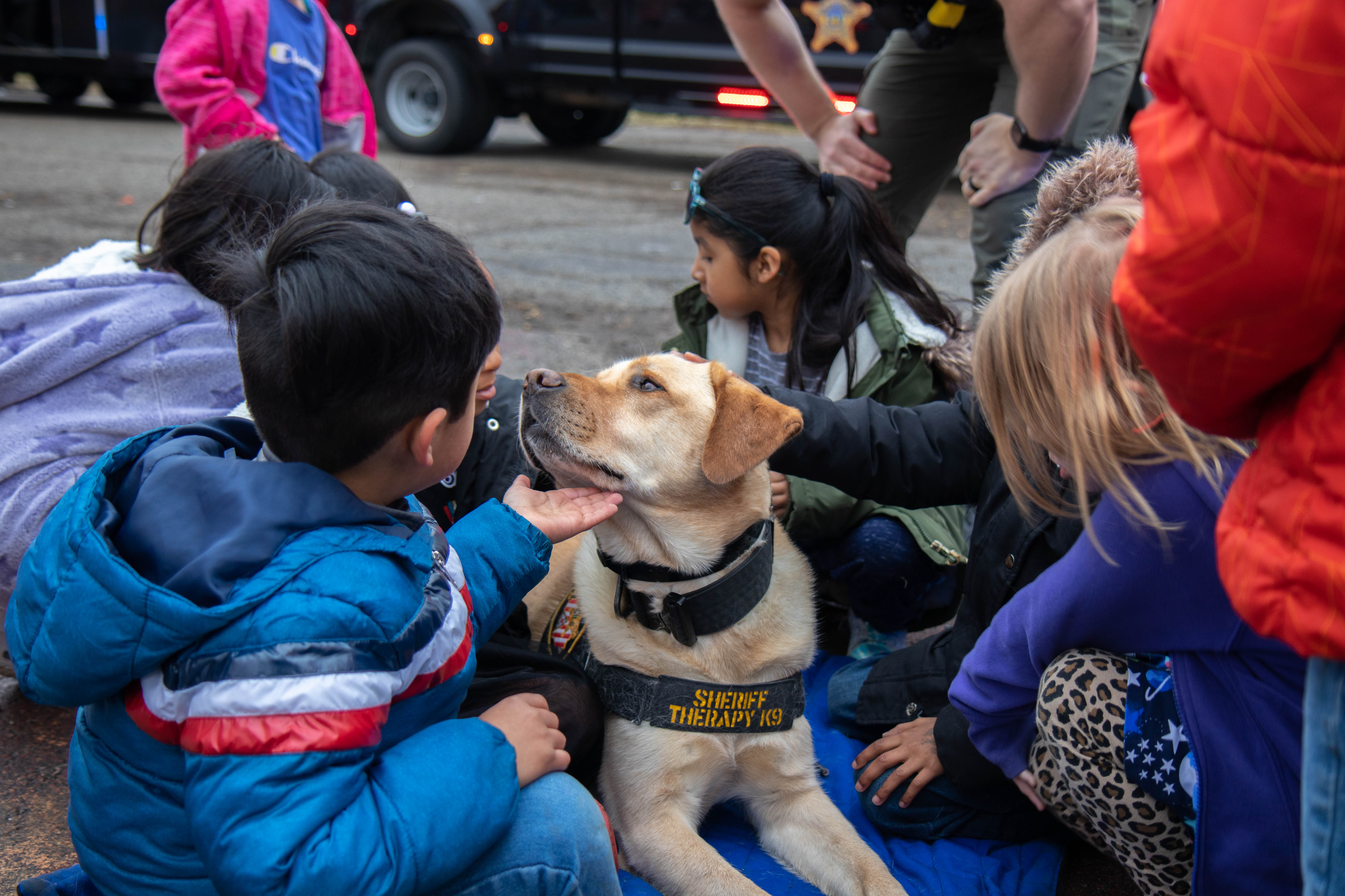 Crossing students petting dog.